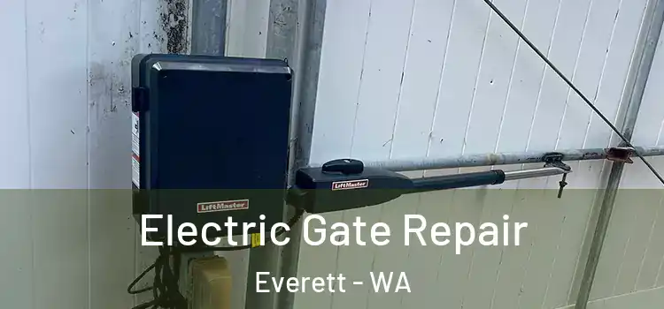 Electric Gate Repair Everett - WA