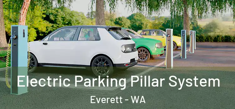 Electric Parking Pillar System Everett - WA