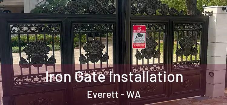 Iron Gate Installation Everett - WA