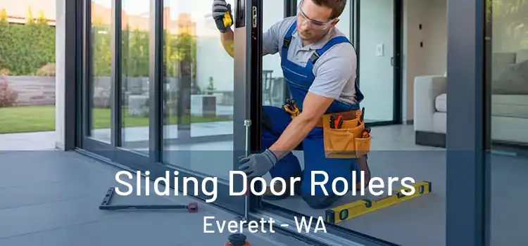 Sliding Door Rollers Everett - WA